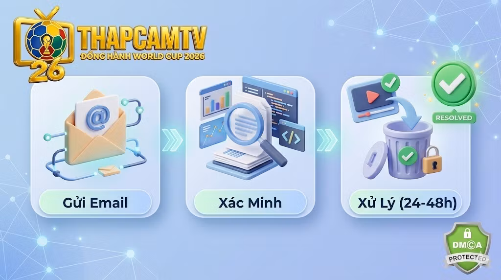 Sơ đồ quy trình 3 bước tiếp nhận và xử lý vi phạm bản quyền DMCA nhanh chóng tại Thapcamtv.