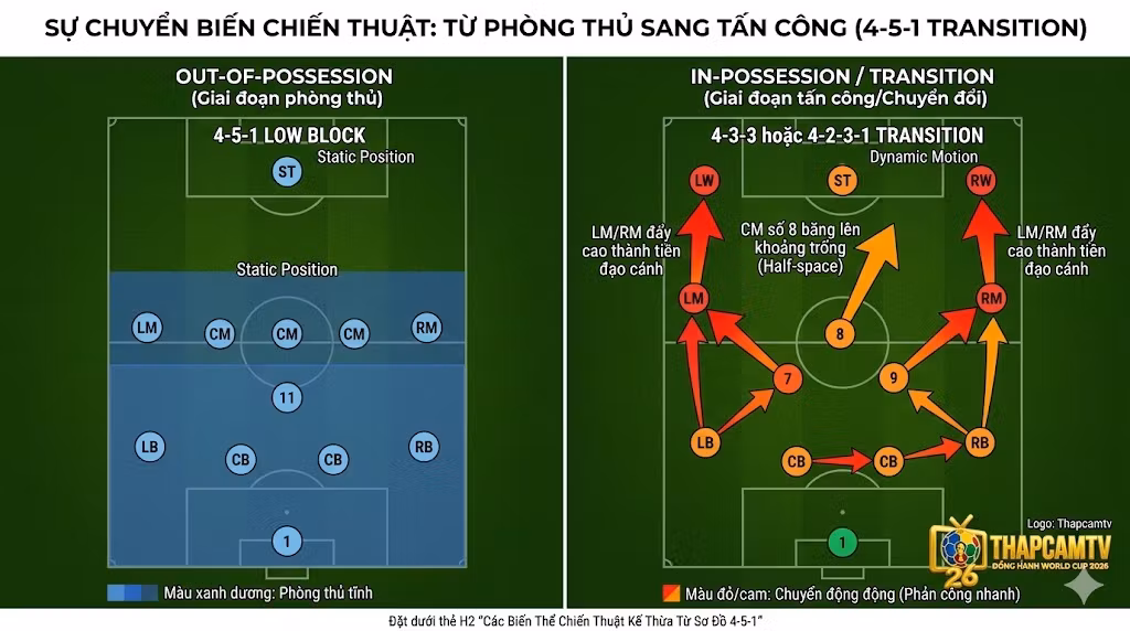 Hình ảnh minh họa hàng tiền vệ dày đặc 5 người trong sơ đồ chiến thuật 4-5-1